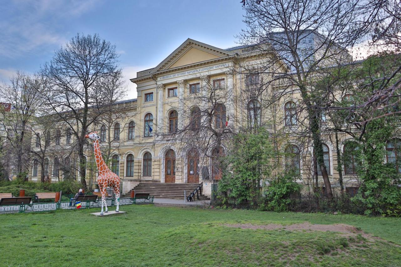 Oak Apartment - Piata Victoriei Bucarest Esterno foto