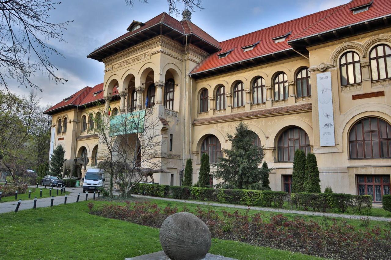 Oak Apartment - Piata Victoriei Bucarest Esterno foto